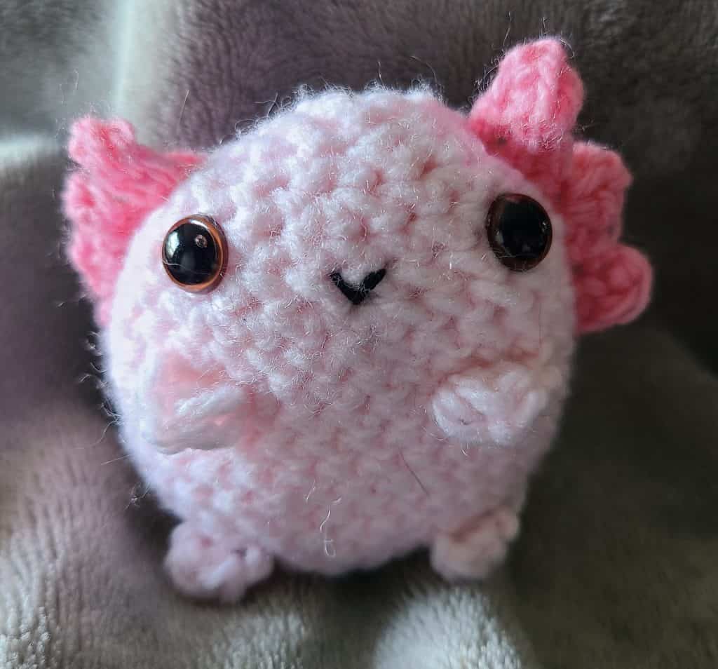 Axolotl Crochet. First project in what I think was the best way to learn crochet.